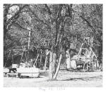 Swings at Wilhoit Mineral Springs - May 16, 1954