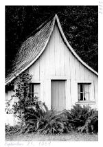 Cabin at Wilhoit Mineral Springs - September 21, 1956