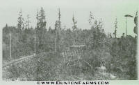 Buckner Creek Trestle
